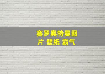 赛罗奥特曼图片 壁纸 霸气